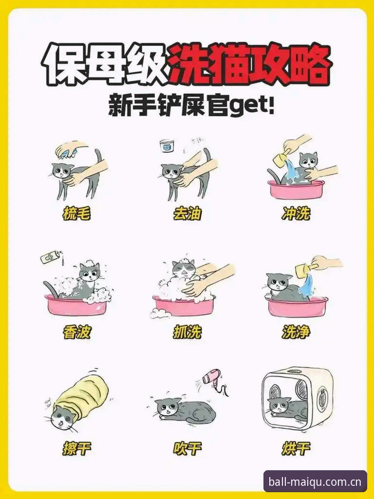 买球APP功能安装教程 新手必看!买球APP功能安装教程——资深用户分享实战经验与避坑指南